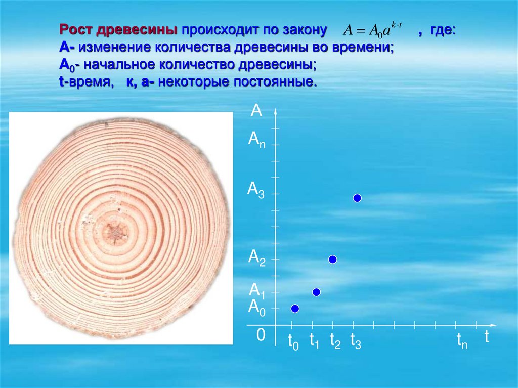 Рост древесины происходит по закону , где: A- изменение количества древесины во времени; A0- начальное количество древесины;