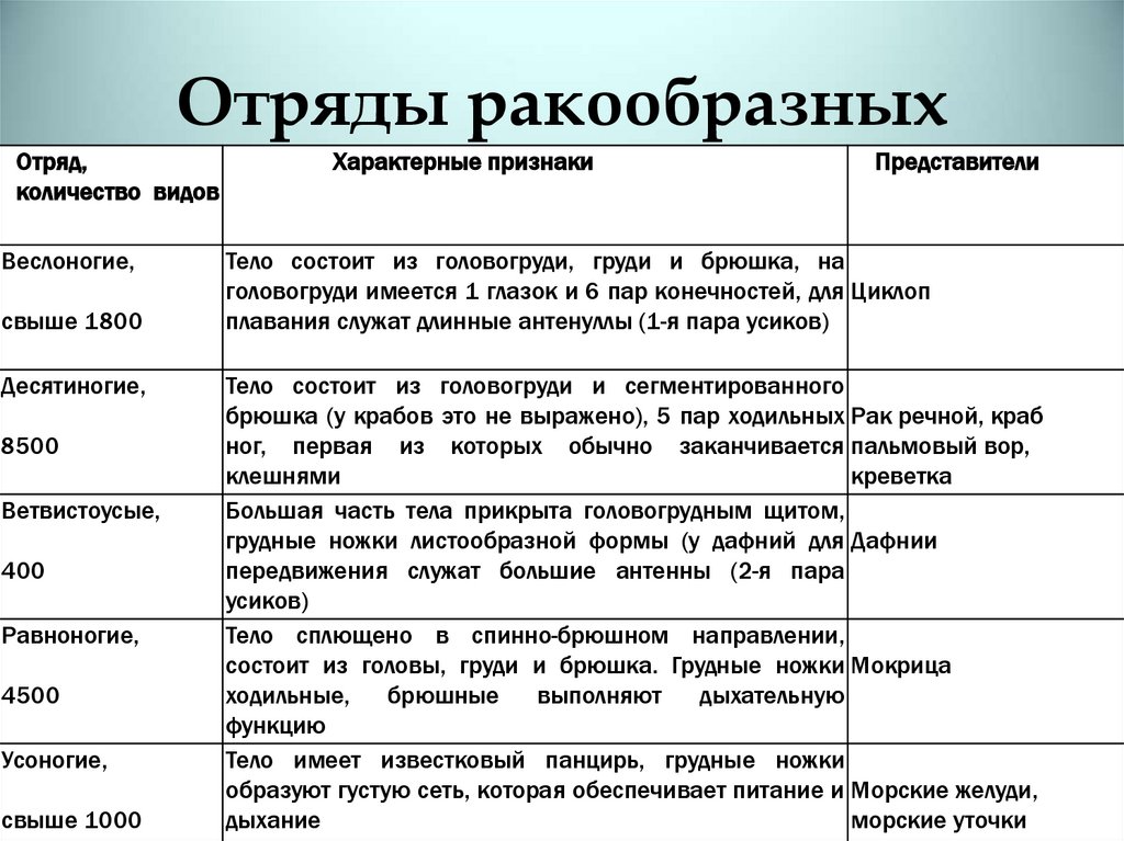 Отряды ракообразных