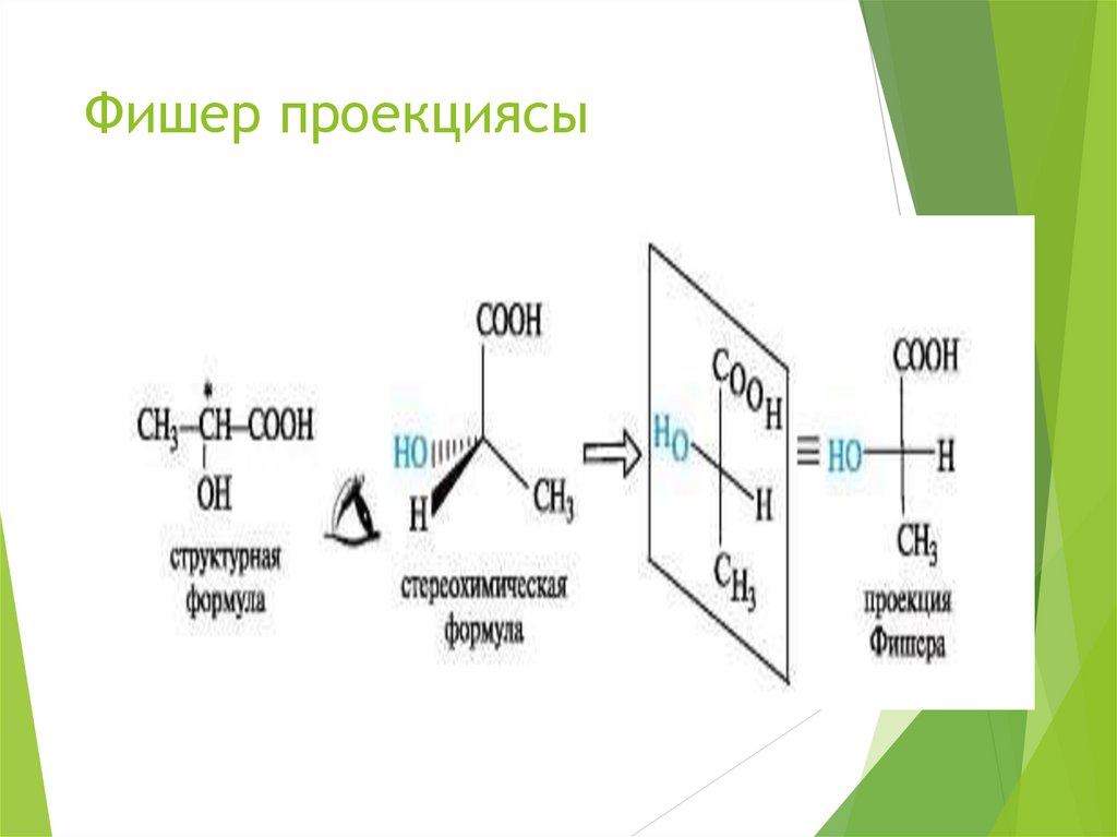 Фишер проекциясы