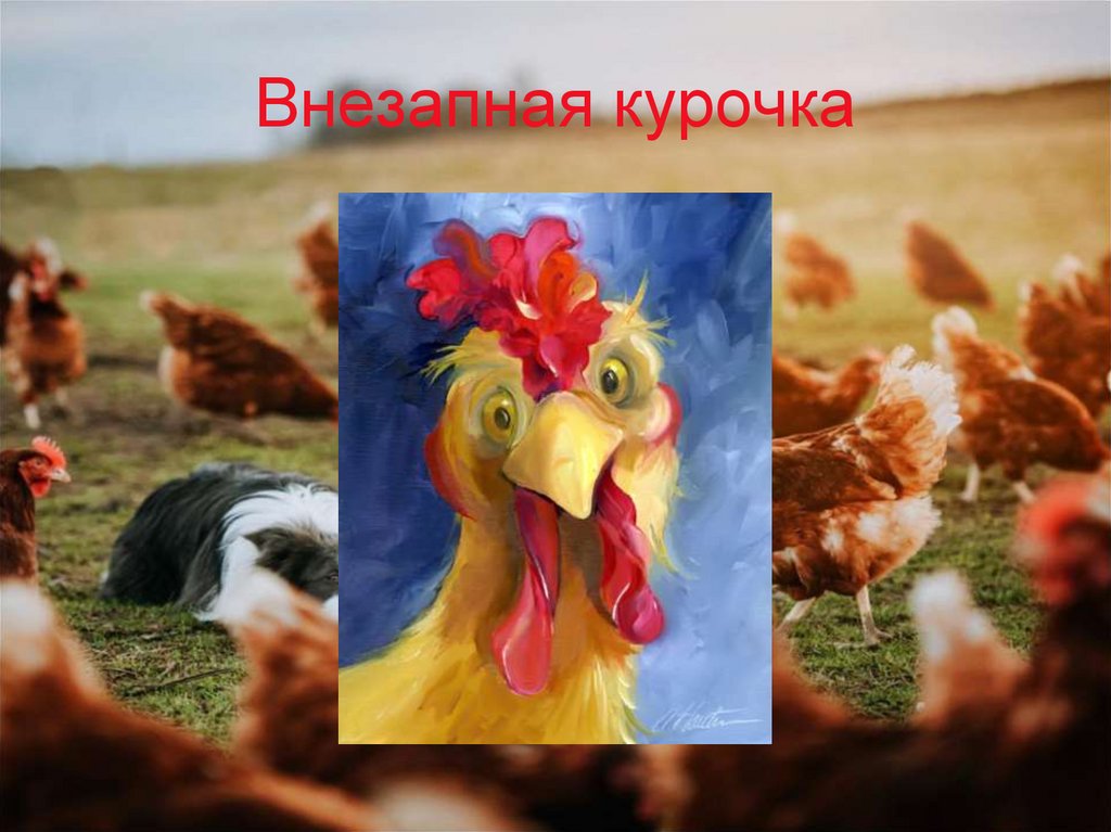 Внезапная курочка