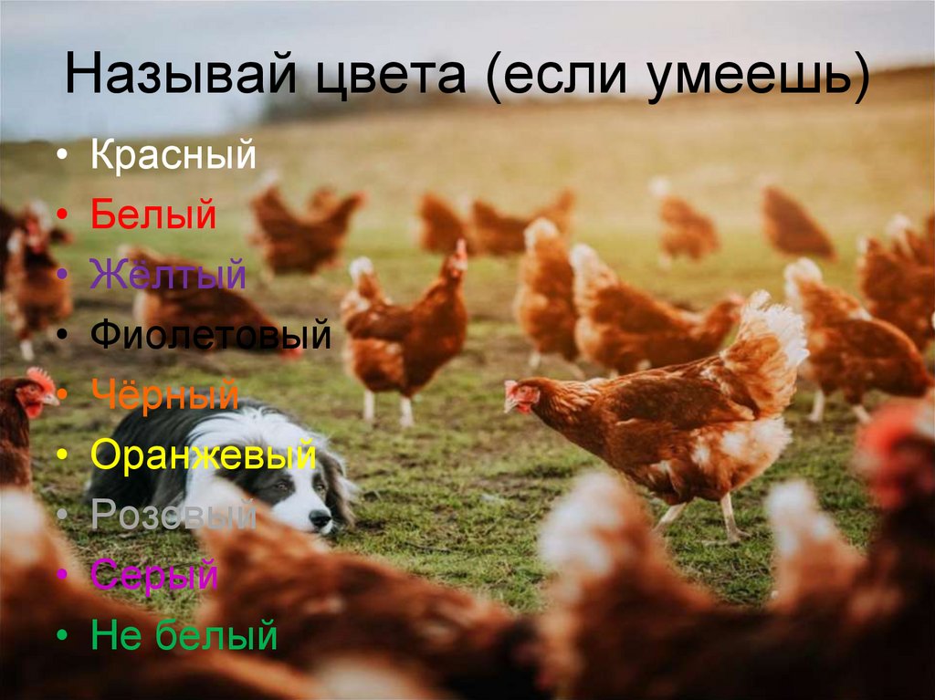 Называй цвета (если умеешь)