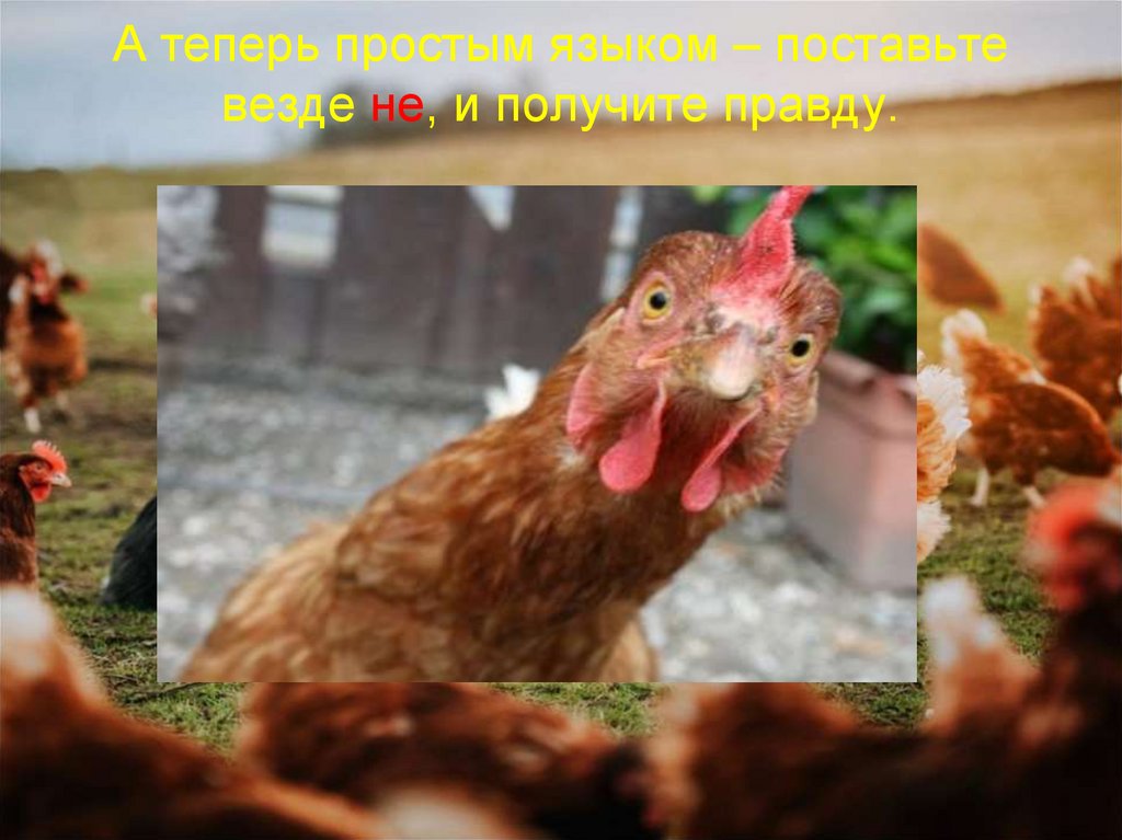 А теперь простым языком – поставьте везде не, и получите правду.