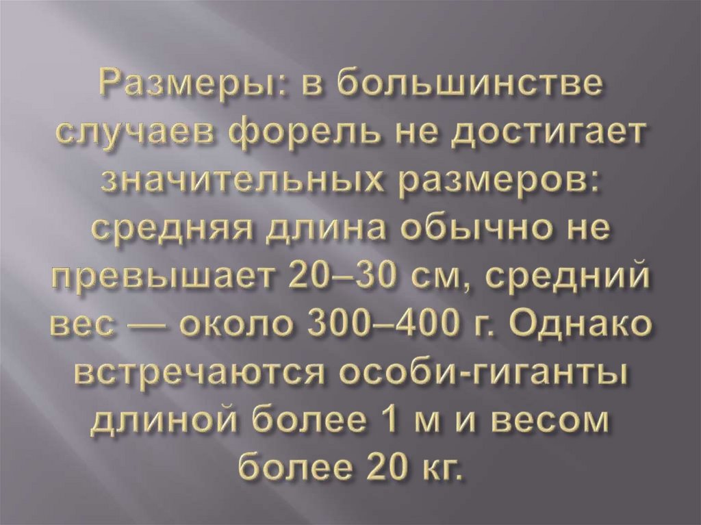 Размеры: в большинстве случаев форель не достигает значительных размеров: средняя длина обычно не превышает 20–30 см, средний