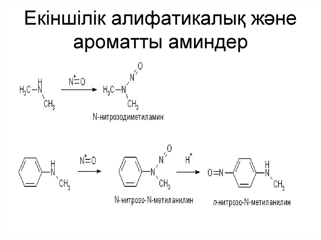 Екіншілік алифатикалық және ароматты аминдер