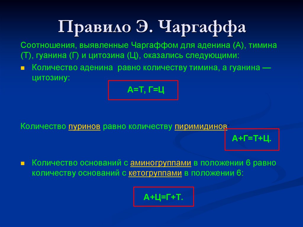 Правило Э. Чаргаффа