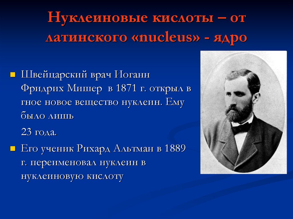 Нуклеиновые кислоты – от латинского «nucleus» - ядро