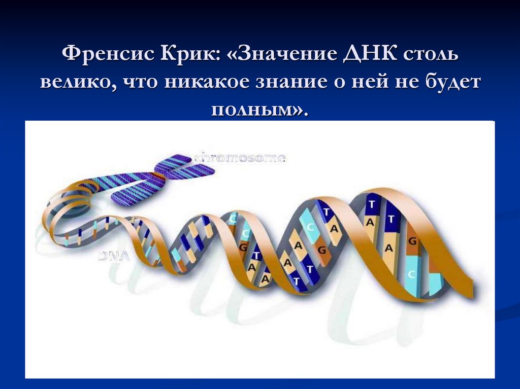 Френсис Крик: «Значение ДНК столь велико, что никакое знание о ней не будет полным».