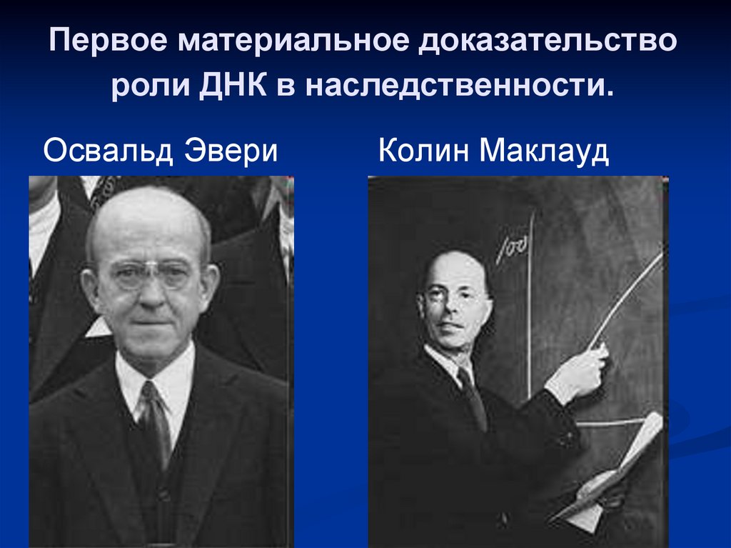 Первое материальное доказательство роли ДНК в наследственности.