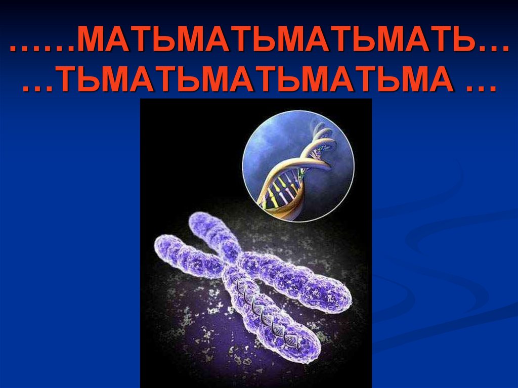 ……МАТЬМАТЬМАТЬМАТЬ… …ТЬМАТЬМАТЬМАТЬМА …