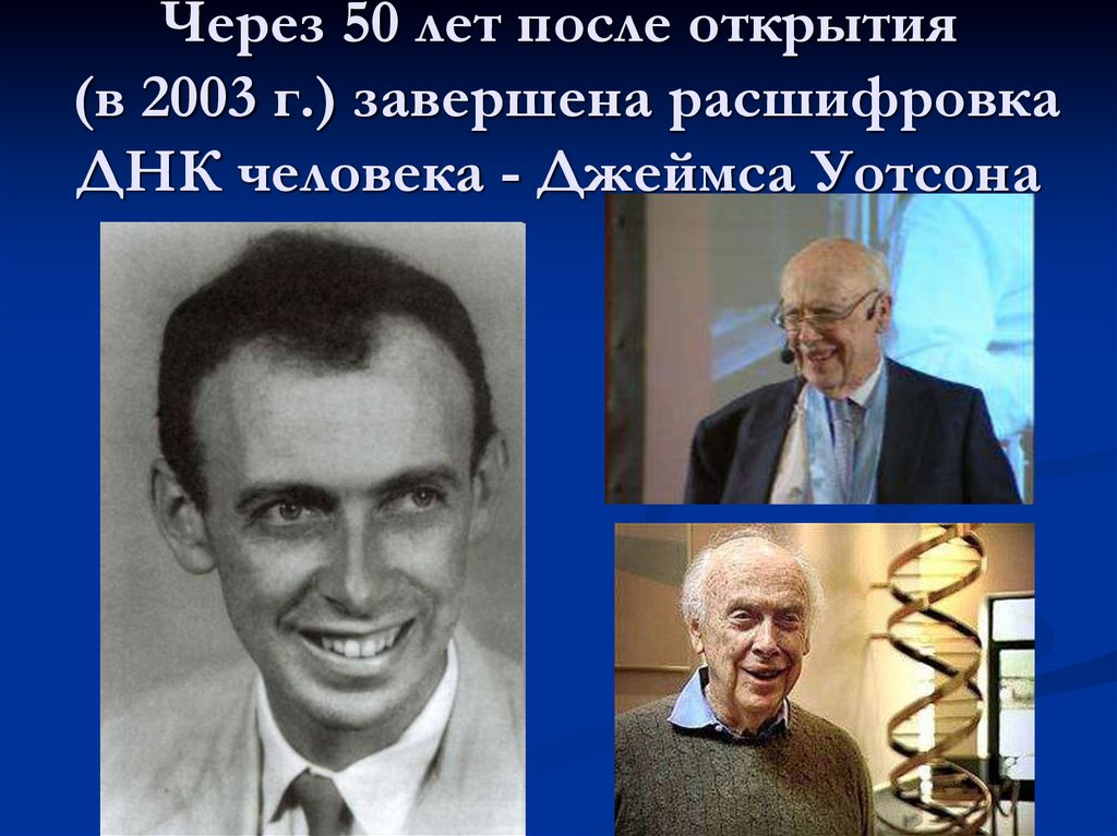 Через 50 лет после открытия (в 2003 г.) завершена расшифровка ДНК человека - Джеймса Уотсона