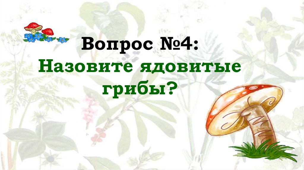 Вопрос №4: Назовите ядовитые грибы?