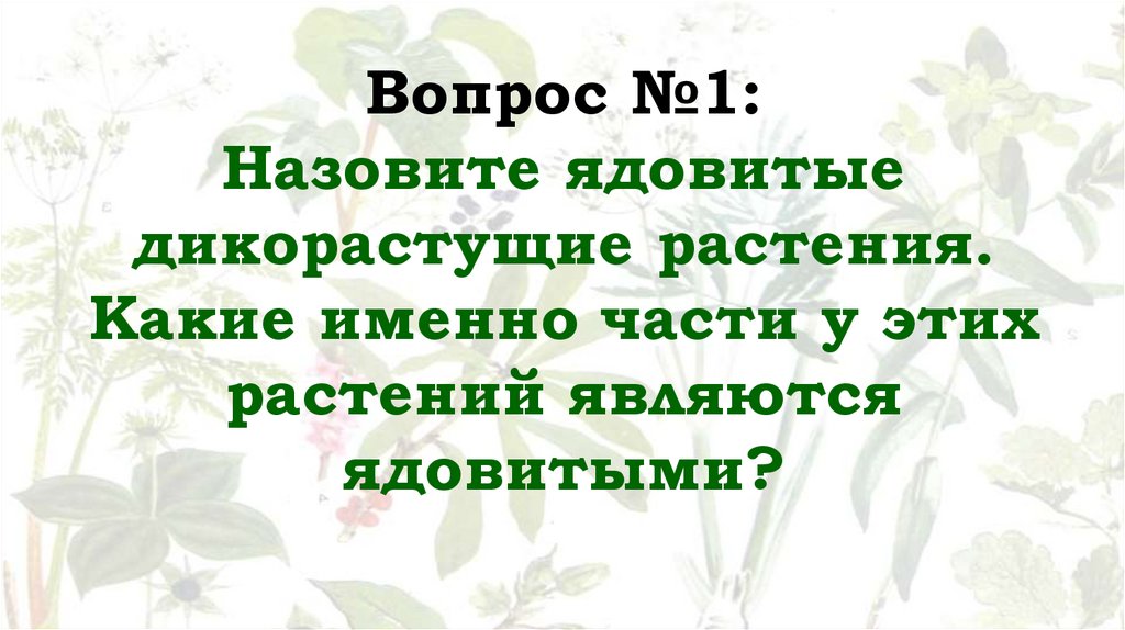 Вопрос №1: Назовите ядовитые дикорастущие растения. Какие именно части у этих растений являются ядовитыми?