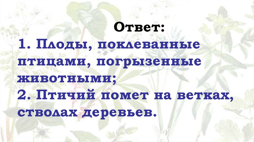 Ответ: 1. Плоды, поклеванные птицами, погрызенные животными; 2. Птичий помет на ветках, стволах деревьев.