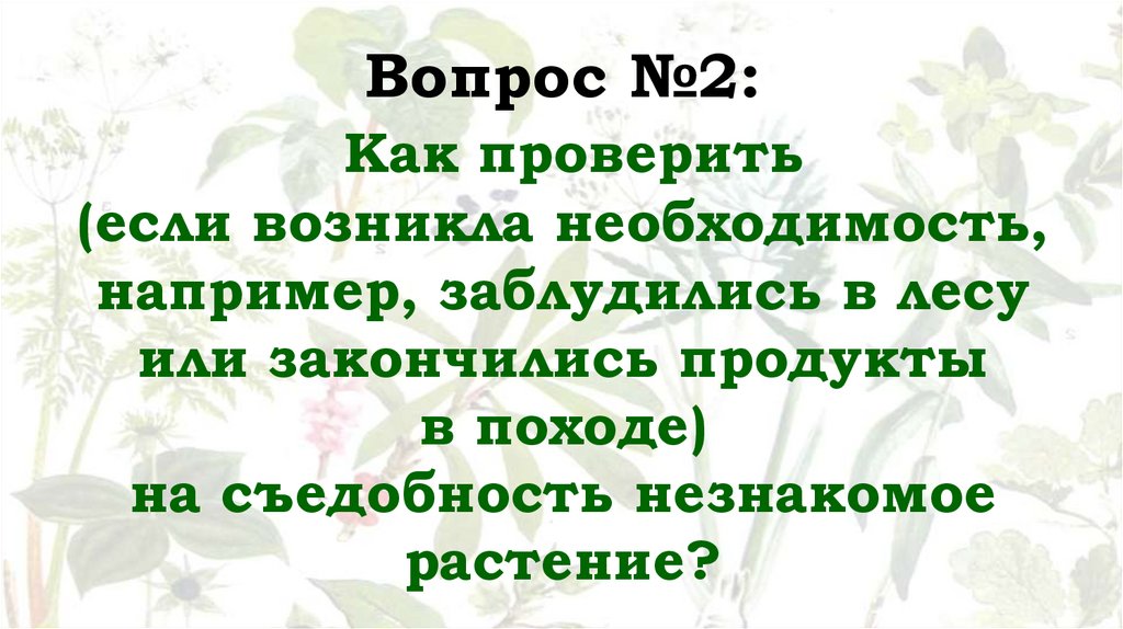 Вопрос №2: Как проверить (если возникла необходимость, например, заблудились в лесу или закончились продукты в походе) на