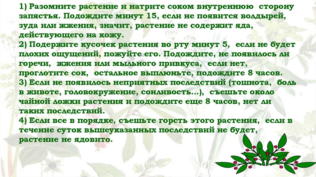 Ответ: 1) Разомните растение и натрите соком внутреннюю сторону запястья. Подождите минут 15, если не появится волдырей, зуда