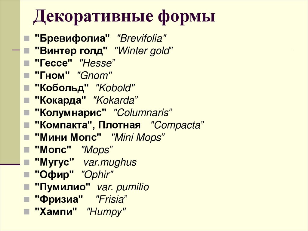 Декоративные формы