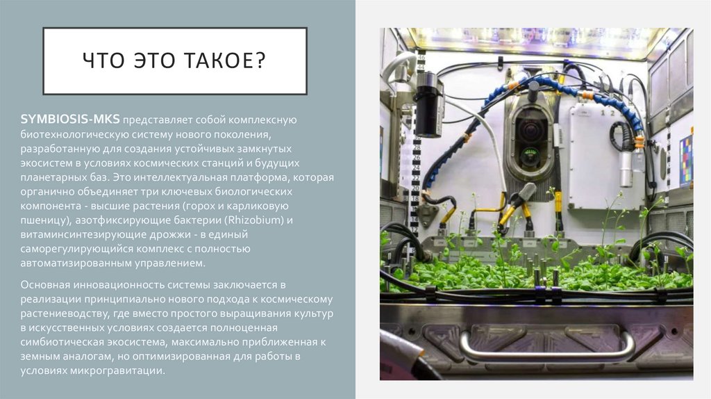 Что это такое?