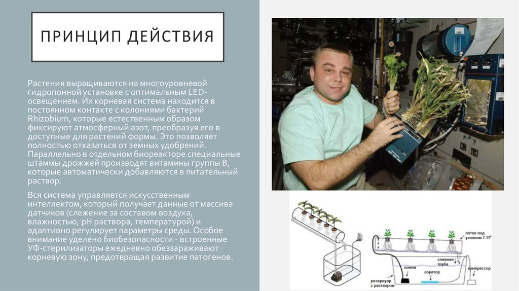 Принцип действия