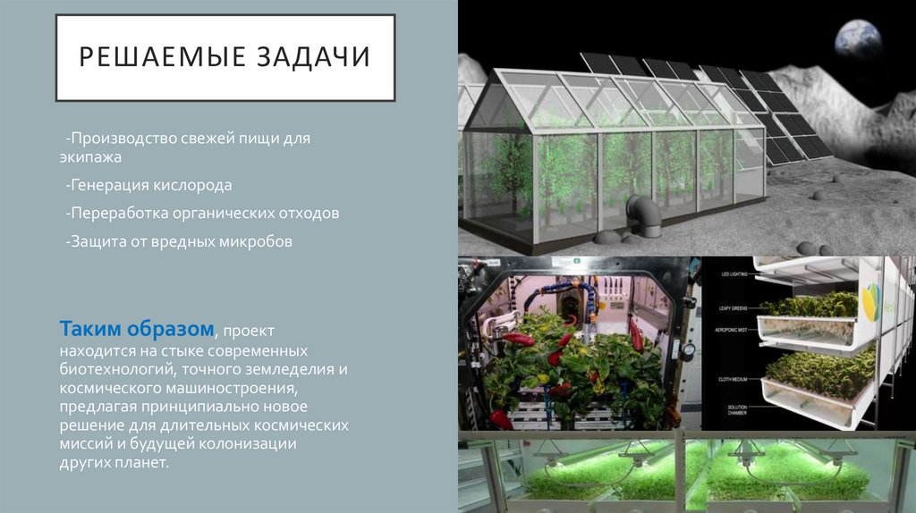 Решаемые задачи