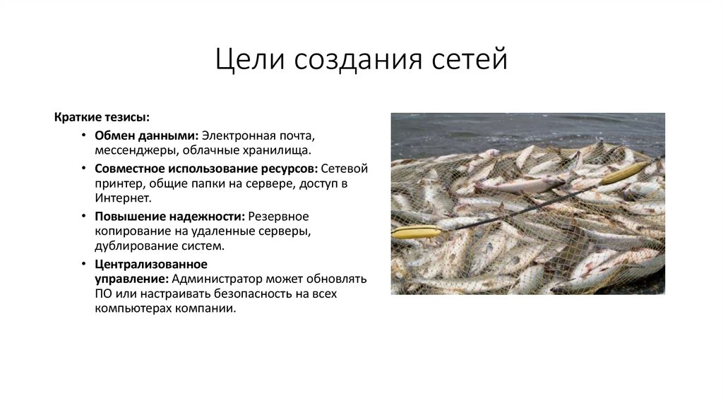 Цели создания сетей