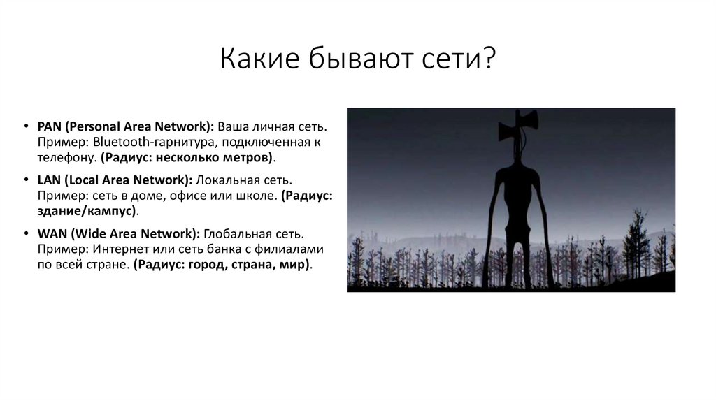 Какие бывают сети?