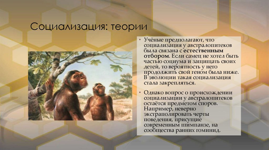 Социализация: теории