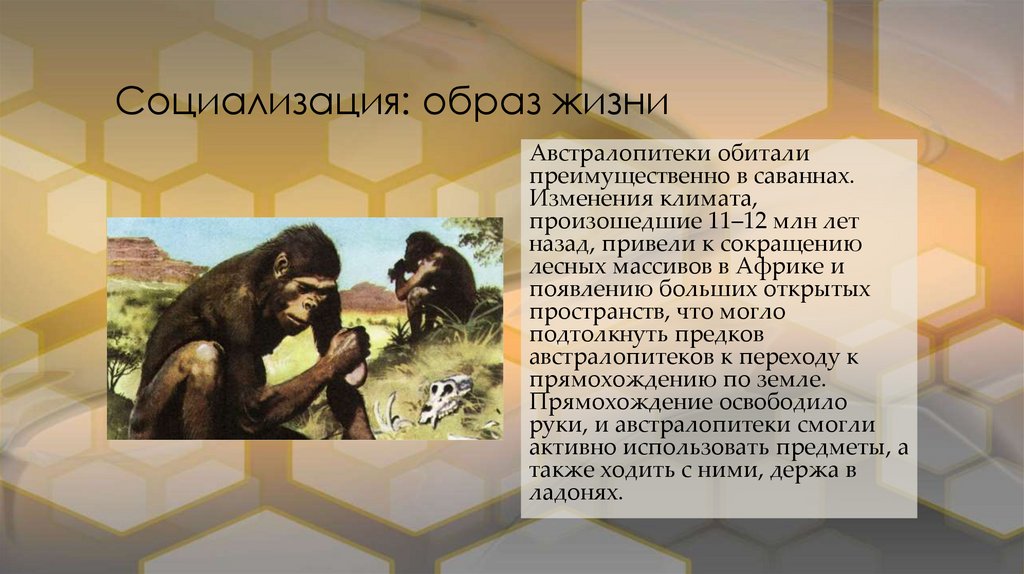 Социализация: образ жизни