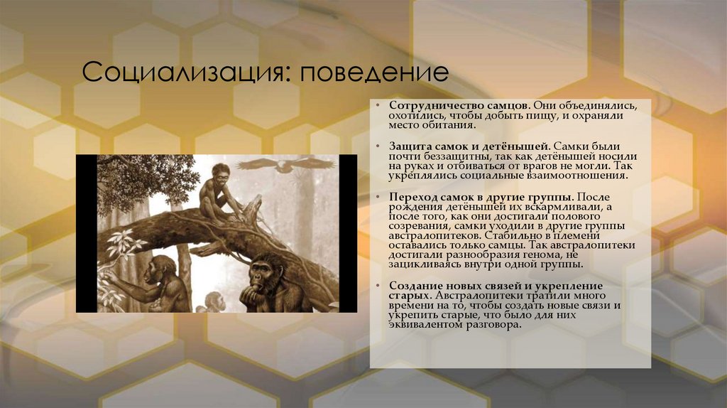 Социализация: поведение