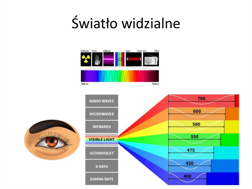 Światło widzialne