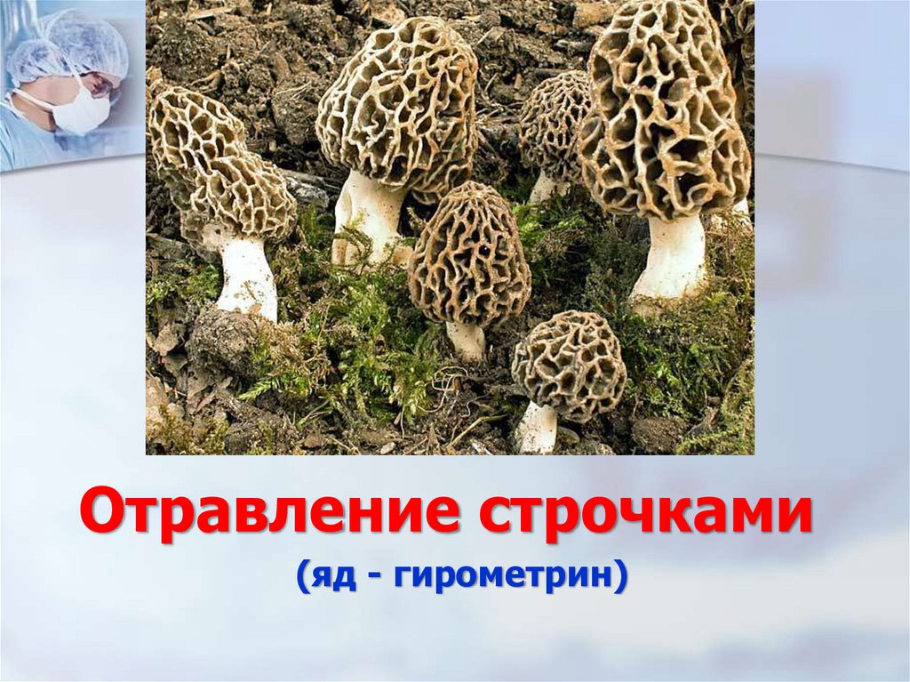 Отравление строчками