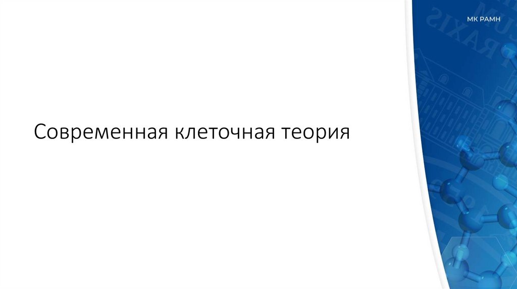 Современная клеточная теория