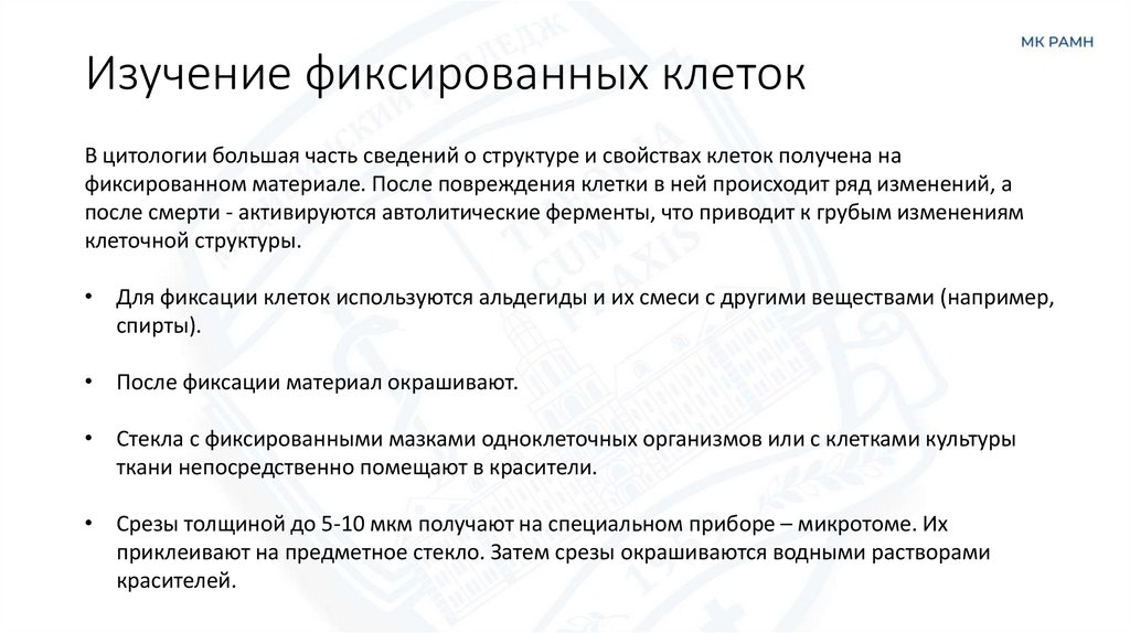 Изучение фиксированных клеток