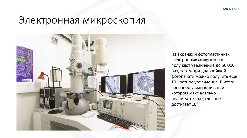 Электронная микроскопия