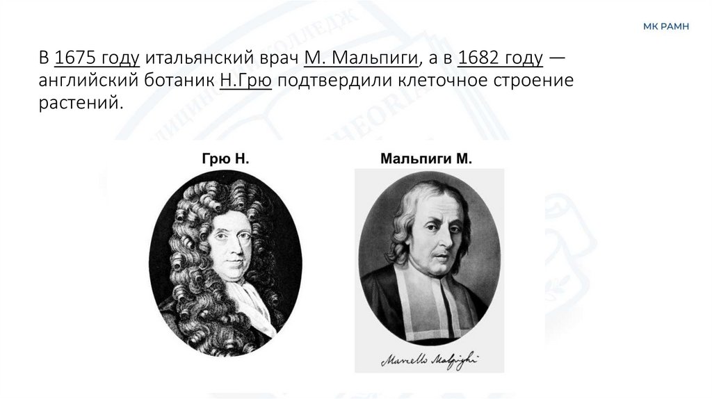 В 1675 году итальянский врач М. Мальпиги, а в 1682 году — английский ботаник Н.Грю подтвердили клеточное строение растений.