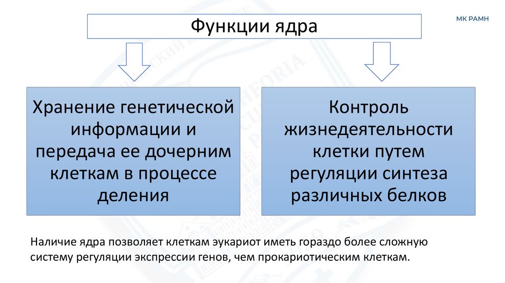 Функции ядра