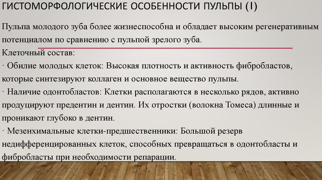 Гистоморфологические особенности пульпы (1)