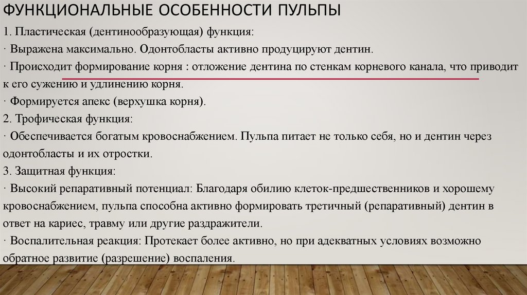 Функциональные особенности пульпы