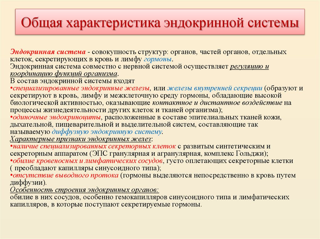 Общая характеристика эндокринной системы