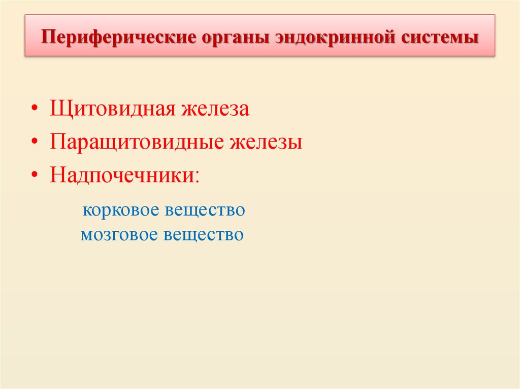 Периферические органы эндокринной системы