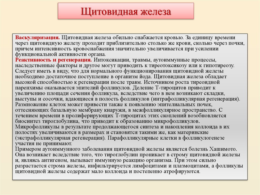 Щитовидная железа