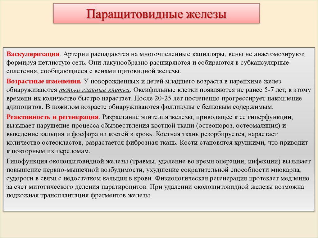 Паращитовидные железы