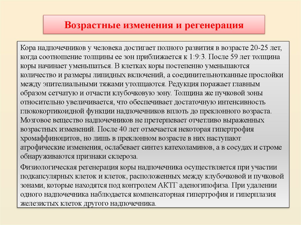 Возрастные изменения и регенерация