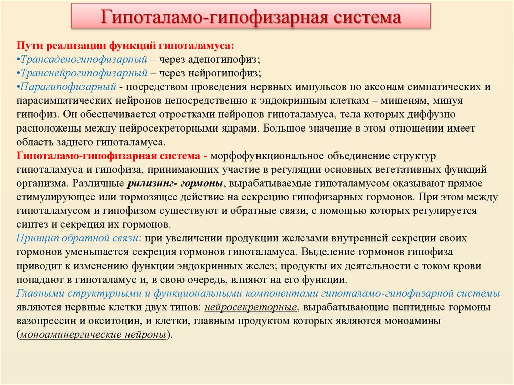 Гипоталамо-гипофизарная система