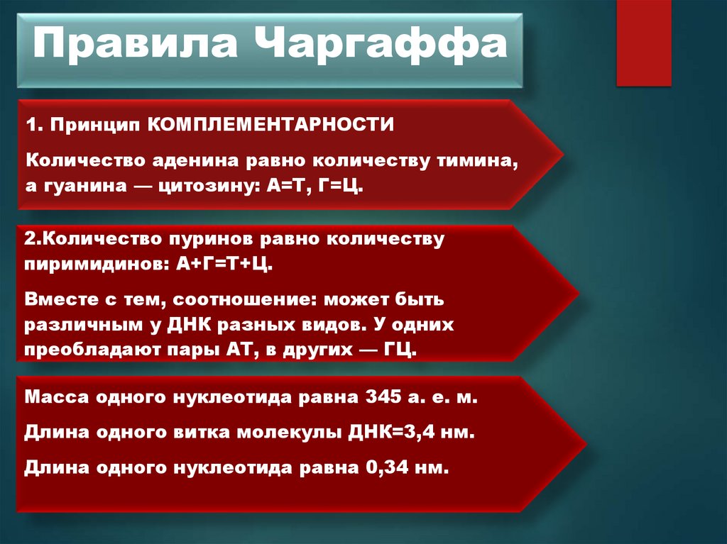 Правила Чаргаффа