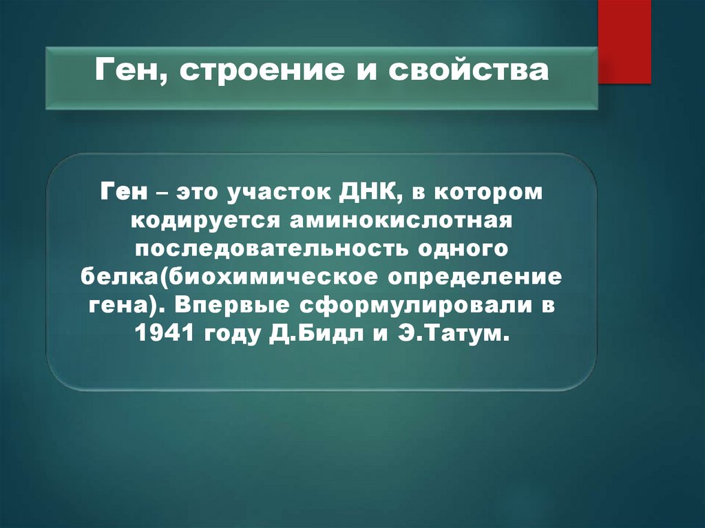 Ген, строение и свойства