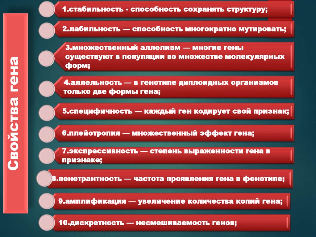 Свойства гена