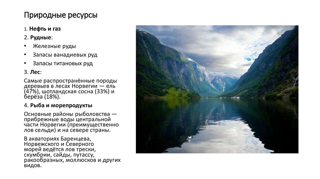 Природные ресурсы