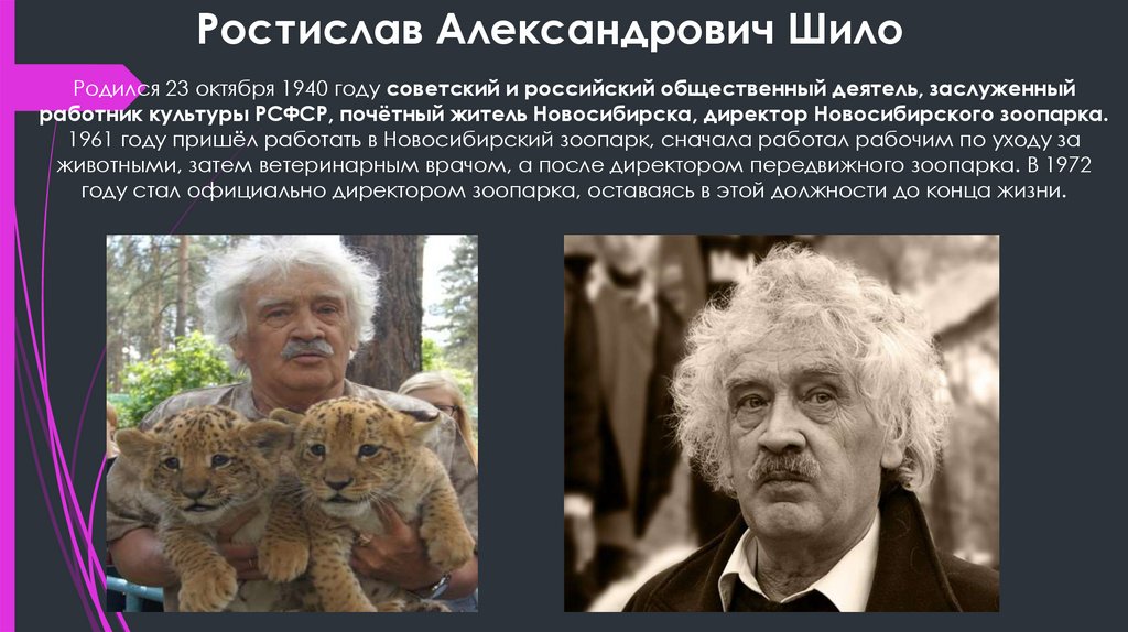 Ростислав Александрович Шило