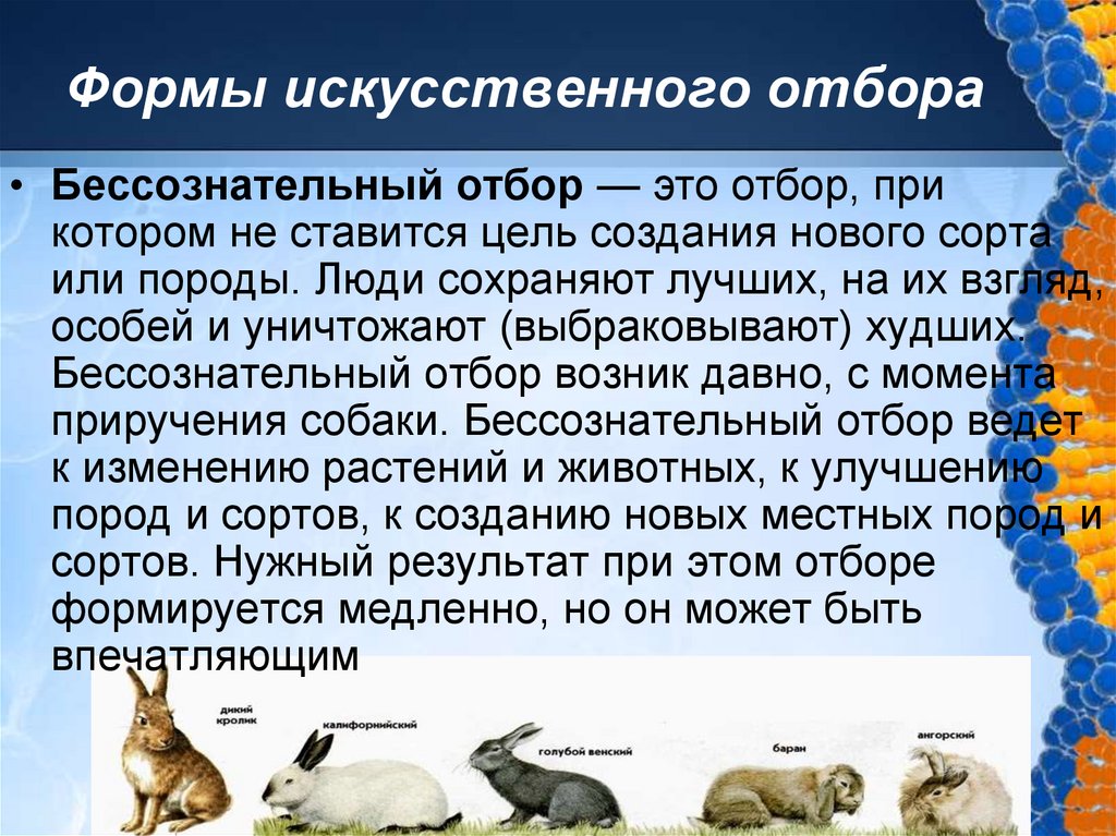Формы искусственного отбора