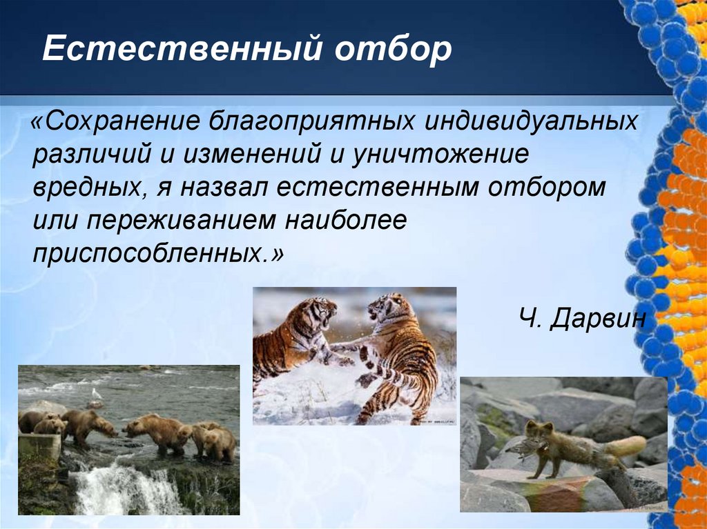 Естественный отбор